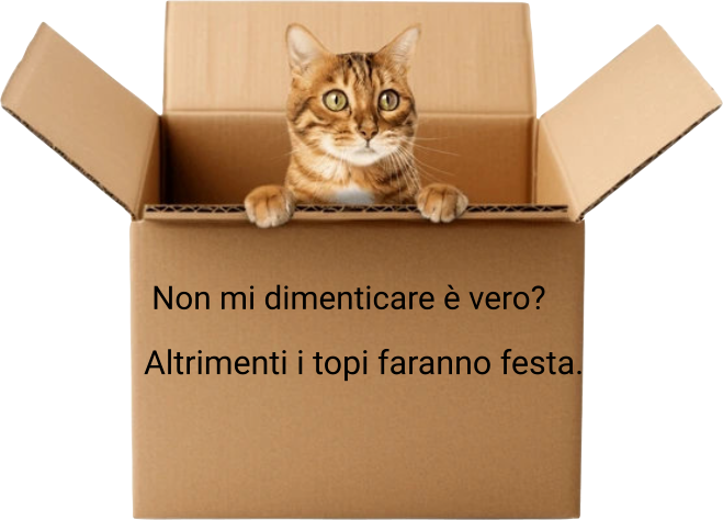 Ti trasportiamo anche te